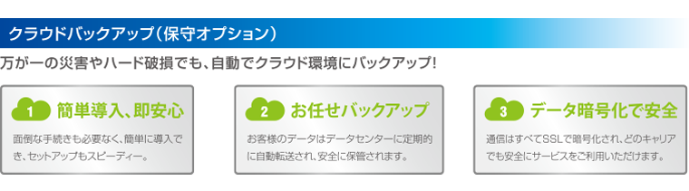 クラウドバックアップ（保守オプション）